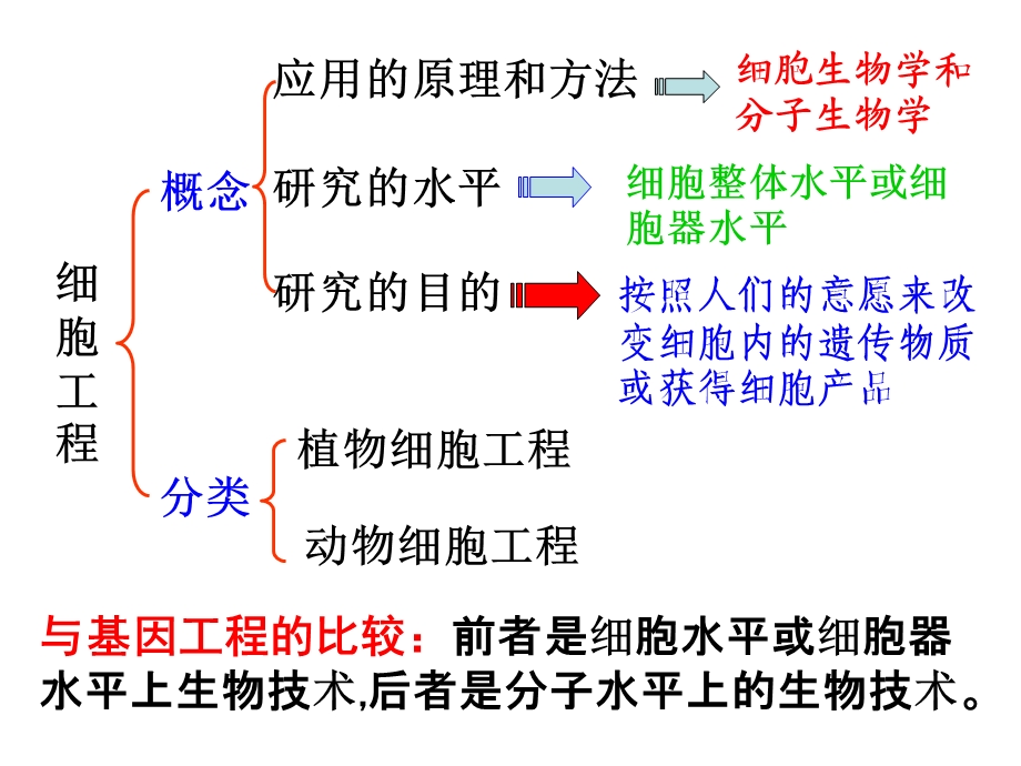 人教版教学课件2.1.1植物细胞工程-组织培养技术.ppt_第3页