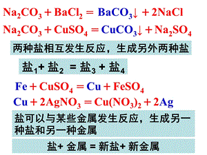 八年级科学盐的性质.ppt