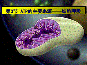 人教版教学课件山东省冠县一中高一生物《atp的主要来源-细胞呼吸》.ppt