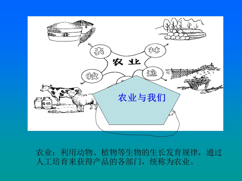 八年级地理上：第四单元经济与文化复习课件商务星球版.ppt_第3页