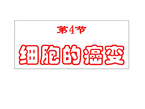 人教版教学课件河北省鸡泽一中高一生物《细胞的癌变》课件.ppt