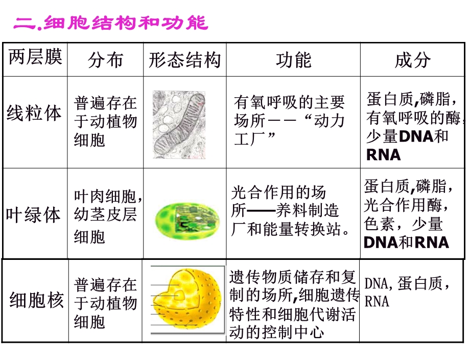 人教版教学课件细胞复习.ppt_第3页