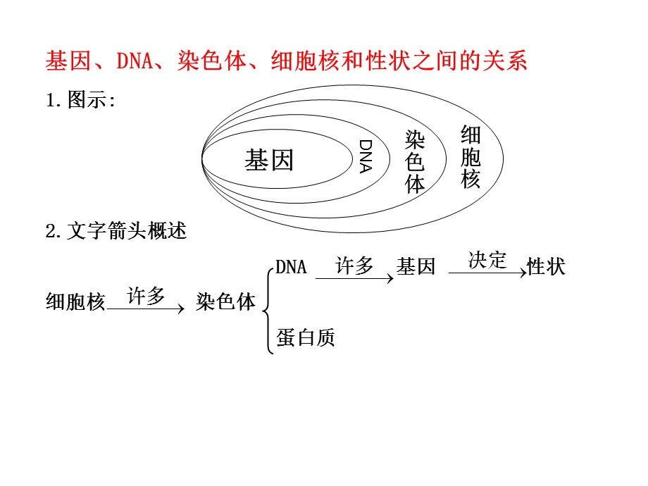 八年级生物遗传与变异复习.ppt_第3页