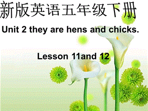 人教新版小学五年级英语下册lessons.ppt