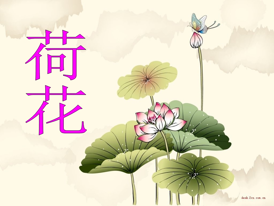 人教版三年级《荷花》第一课时.ppt_第3页