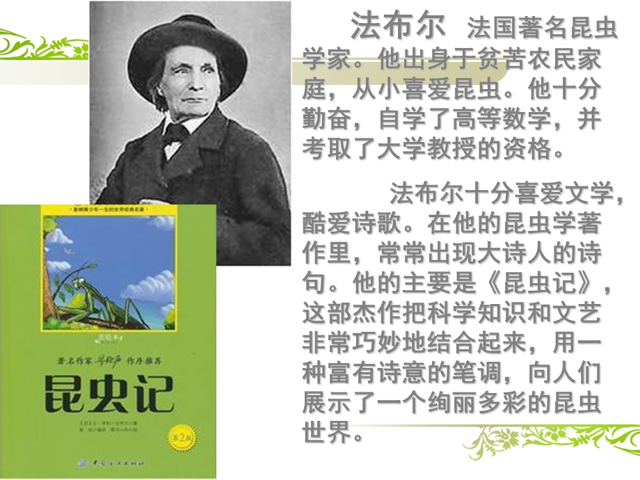 人教版四年级语文上册《蟋蟀的住宅》课件.ppt_第3页