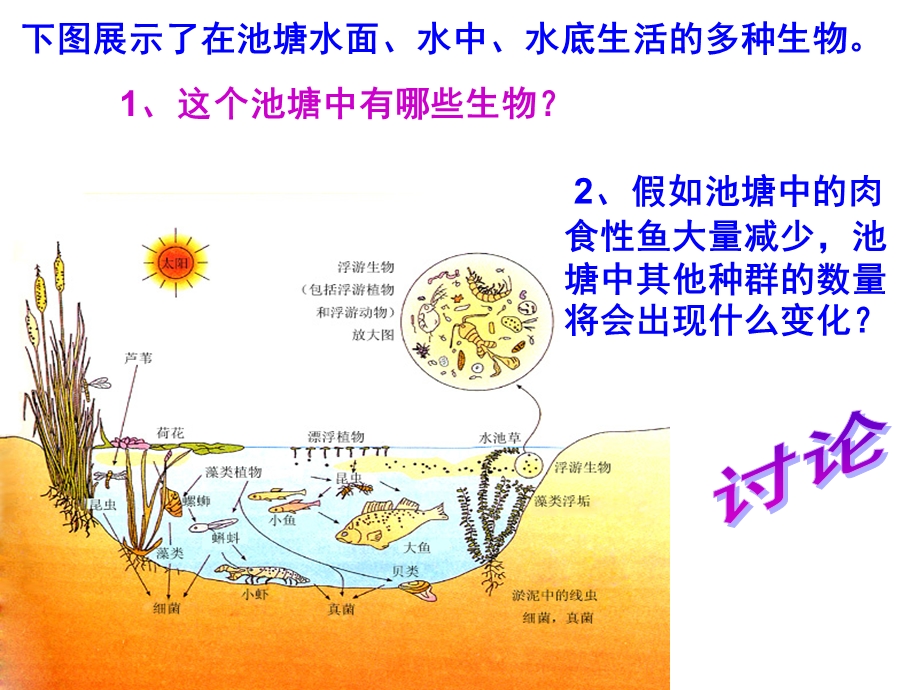 人教版教学课件群落的结构与演替定.ppt_第2页