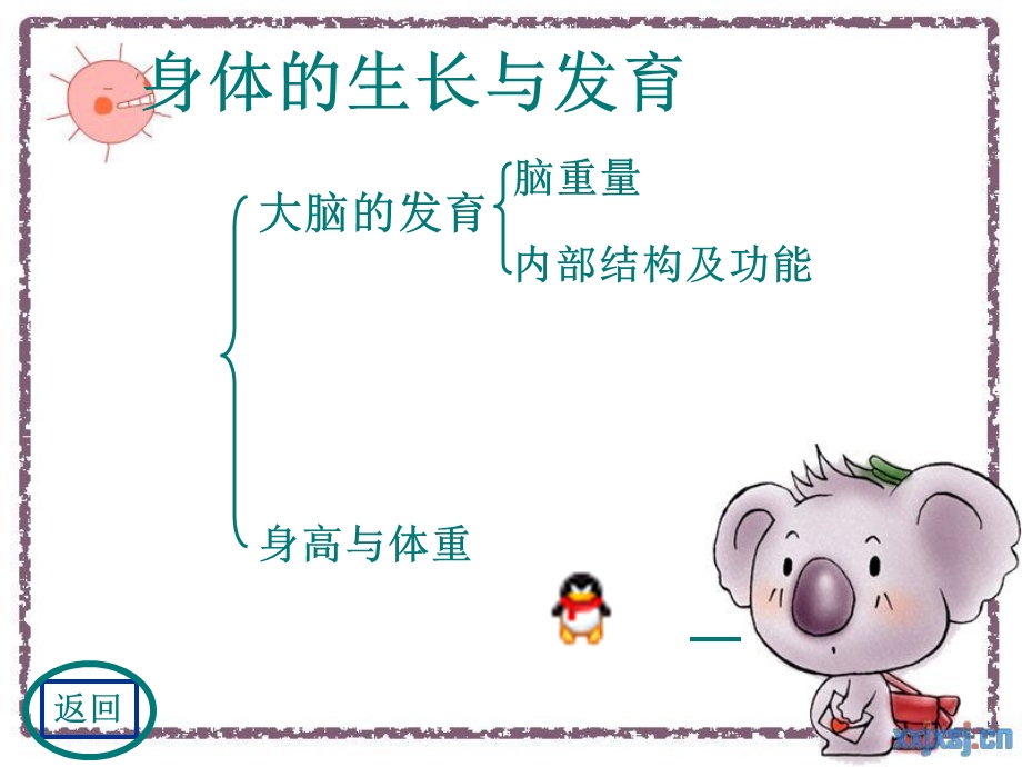 儿童早期(课件作业).ppt_第3页