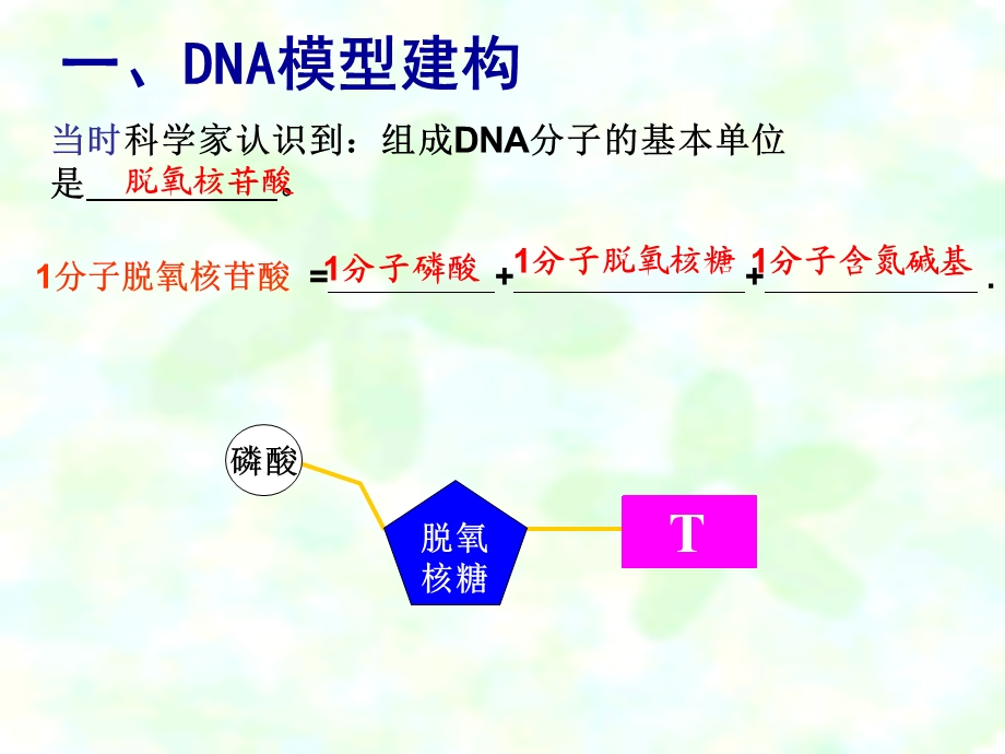 人教版教学课件第三章基因的本质第二节DNA分子结构.ppt_第3页