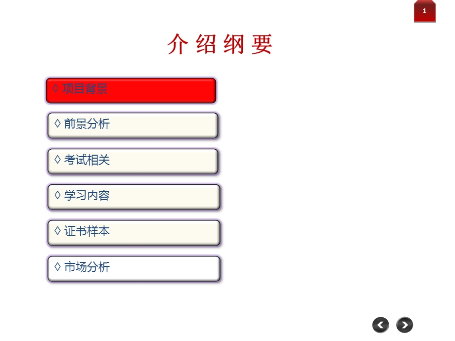 企业社保管理师项目.ppt_第2页