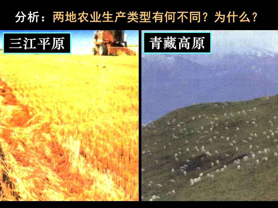 农业区位因素与农业地域类型第二课时.ppt_第3页