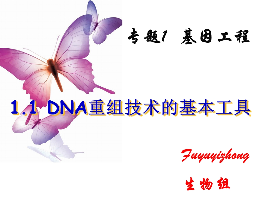 人教版教学课件吉林省扶余一中高二生物《11-DNA重组技术的基本工具》.ppt_第1页