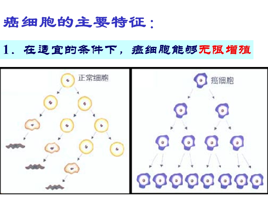 人教版教学课件细胞的癌变.ppt_第3页