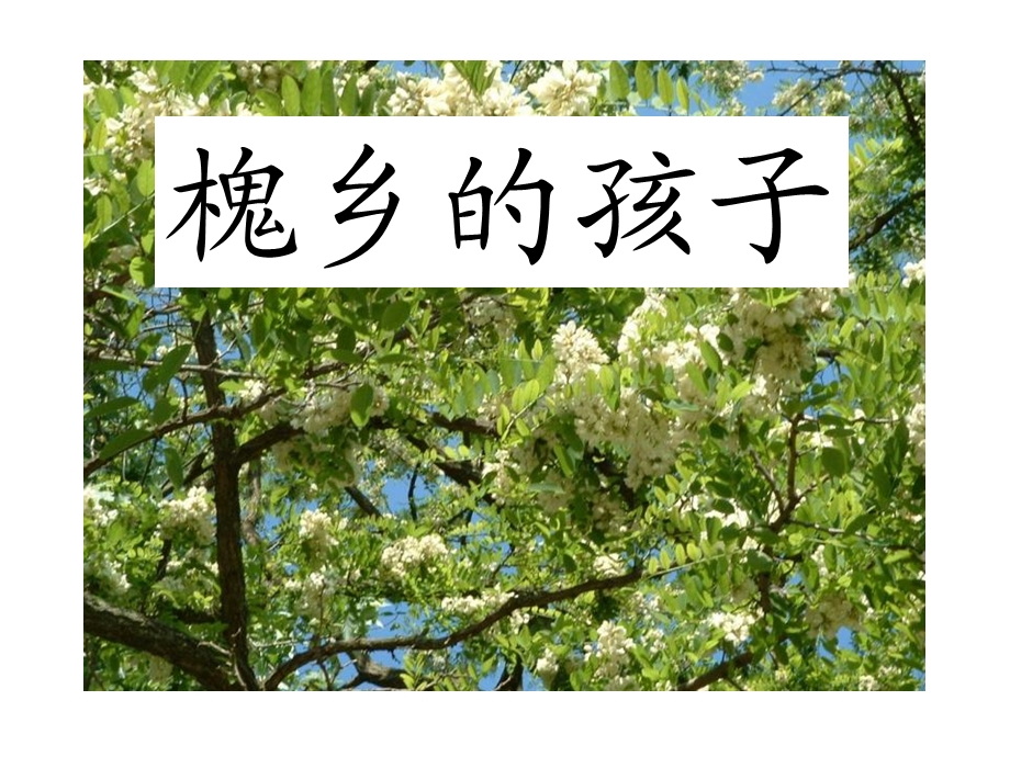 人教版语文三年级上册4槐乡的孩子.ppt_第1页