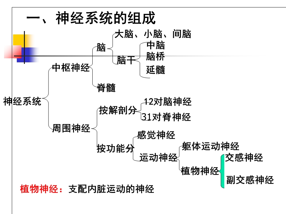 儿童神经系统结构功能及发育和.ppt_第3页