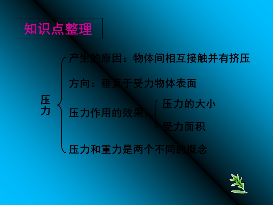 八年级物理压强和浮力课程PPT.ppt_第2页