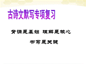 八年级语文下册《理解性默写》.ppt