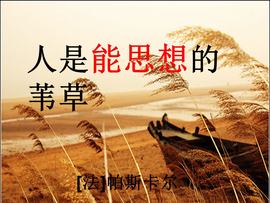 人是能思想的苇草.ppt_第1页