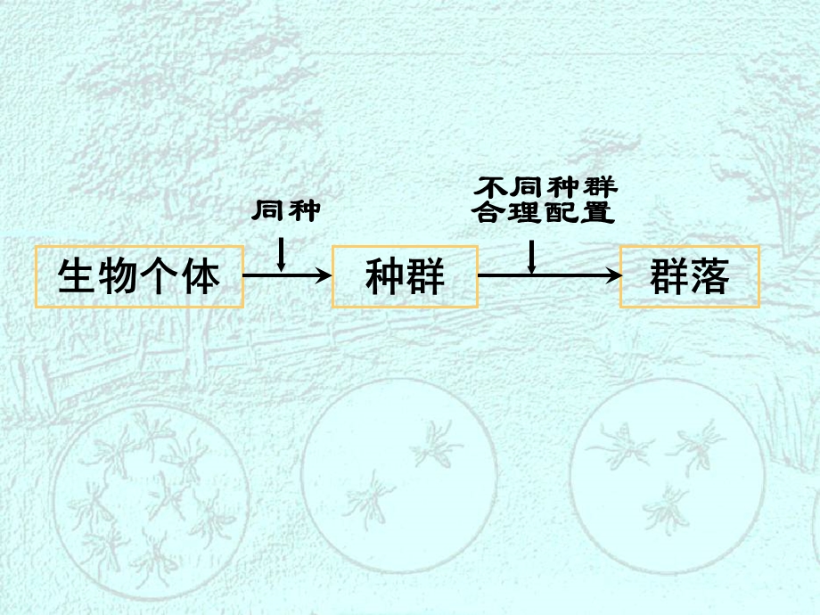 人教版教学课件必修三稳态与环境4章种群和群落.ppt_第3页