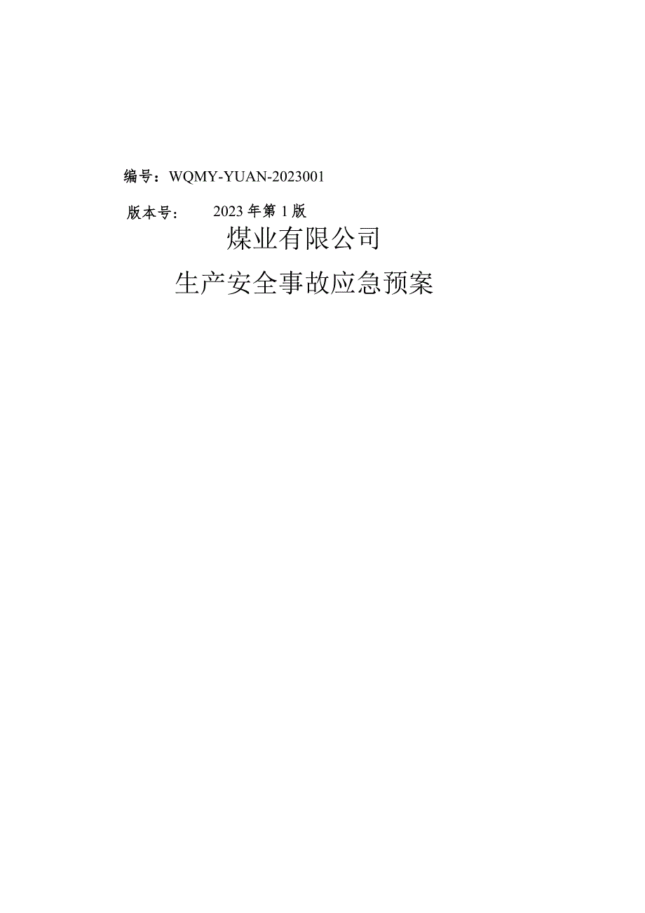 煤业有限公司生产安全事故应急预案.docx_第1页