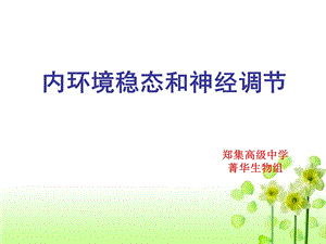 内环境稳态和神经调节.ppt