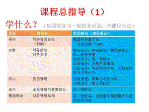 企业集团财务问题与挑战.ppt