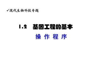 人教版教学课件湖南省安仁一中生物必修三《12基因工程的基本操作程序》.ppt