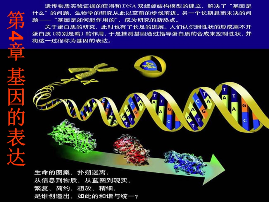 人教版教学课件4.1基因指导蛋白质的合成(生物选修2新人教).ppt_第2页