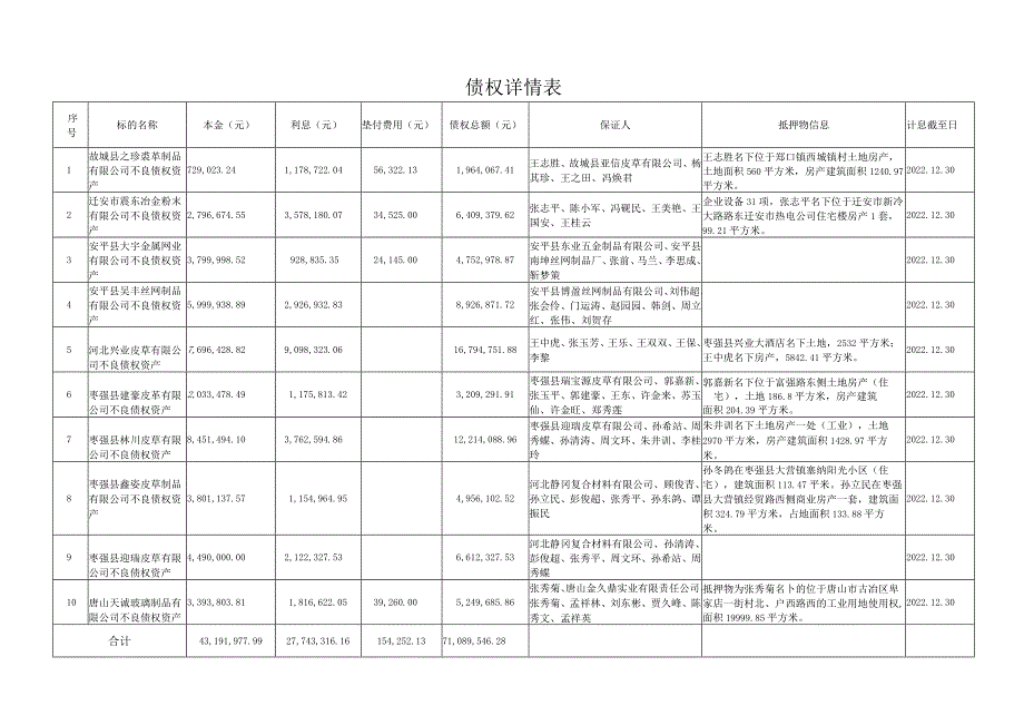 计息截至日债权详情表.docx_第1页