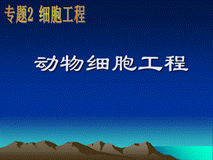 人教版教学课件吉林省扶余一中高二生物《动物细胞培养》.ppt