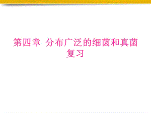 八年级生物上册细菌和真菌复习课件1人教新课标版.ppt