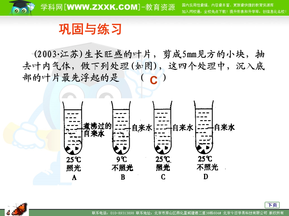 人教版教学课件能量之源光与光合作用的资料.ppt_第3页