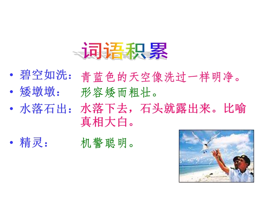 六年级语文彩色的翅膀.ppt_第2页