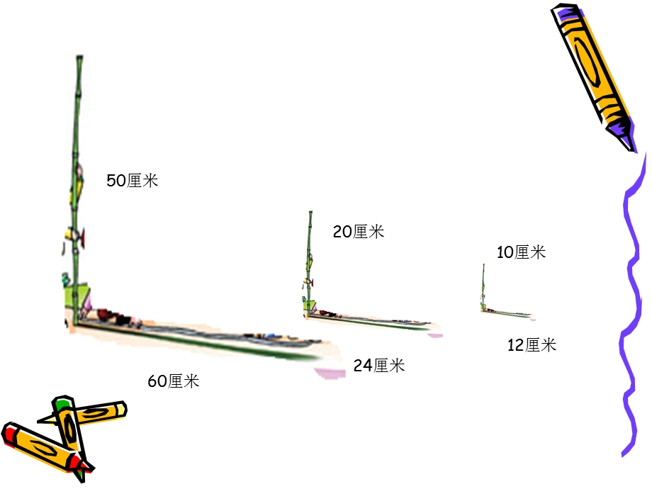 六年级上册大树有多高.ppt_第3页