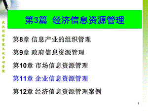 信息资源管理-第11章.ppt