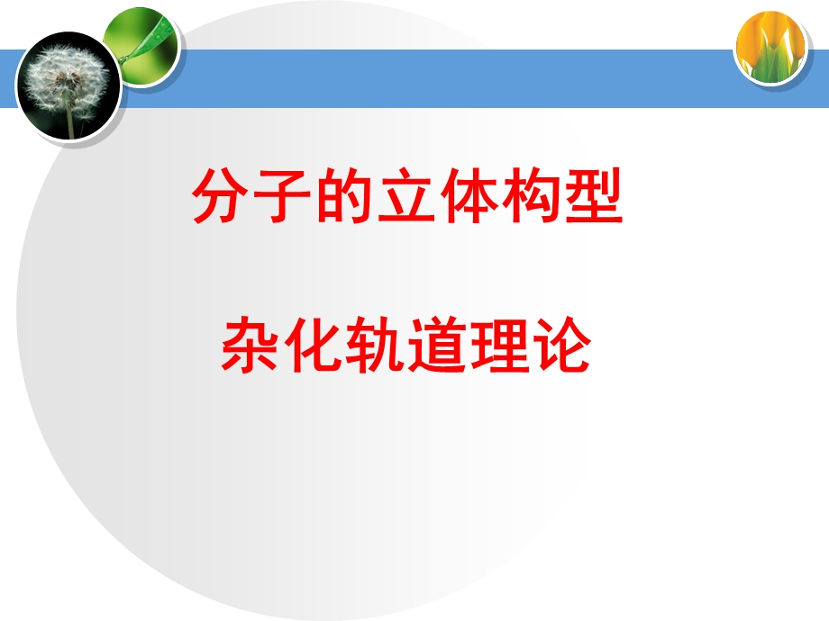 分子的立体结构(杂化轨道理论).ppt_第1页