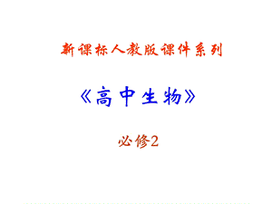 人教版教学课件生物：第七章《现代生物进化理论》总结复习课件(新人教版-必修2).ppt