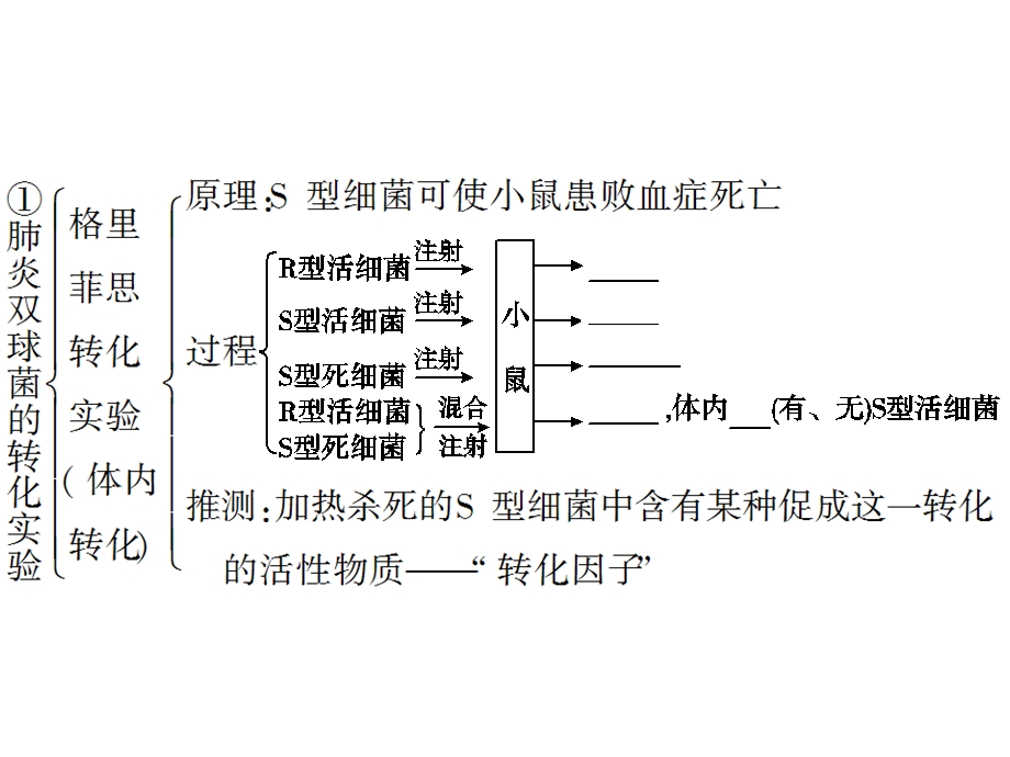 人教版教学课件第三章基因的本质与基因的表达第1节DNA是主要的遗传物质.ppt_第2页