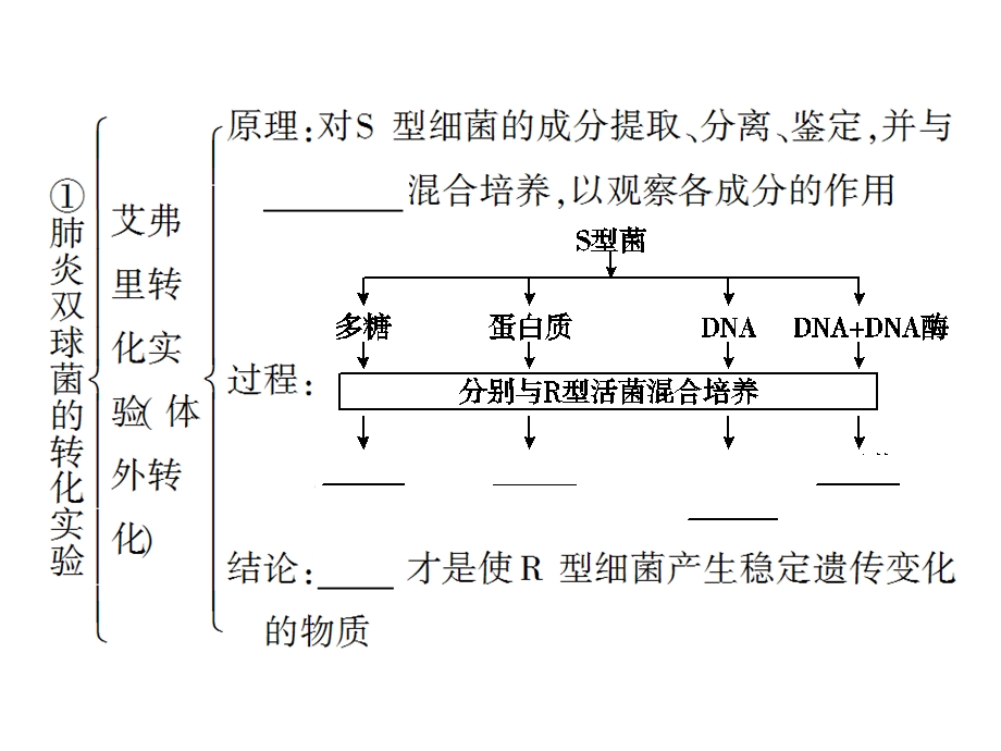 人教版教学课件第三章基因的本质与基因的表达第1节DNA是主要的遗传物质.ppt_第3页