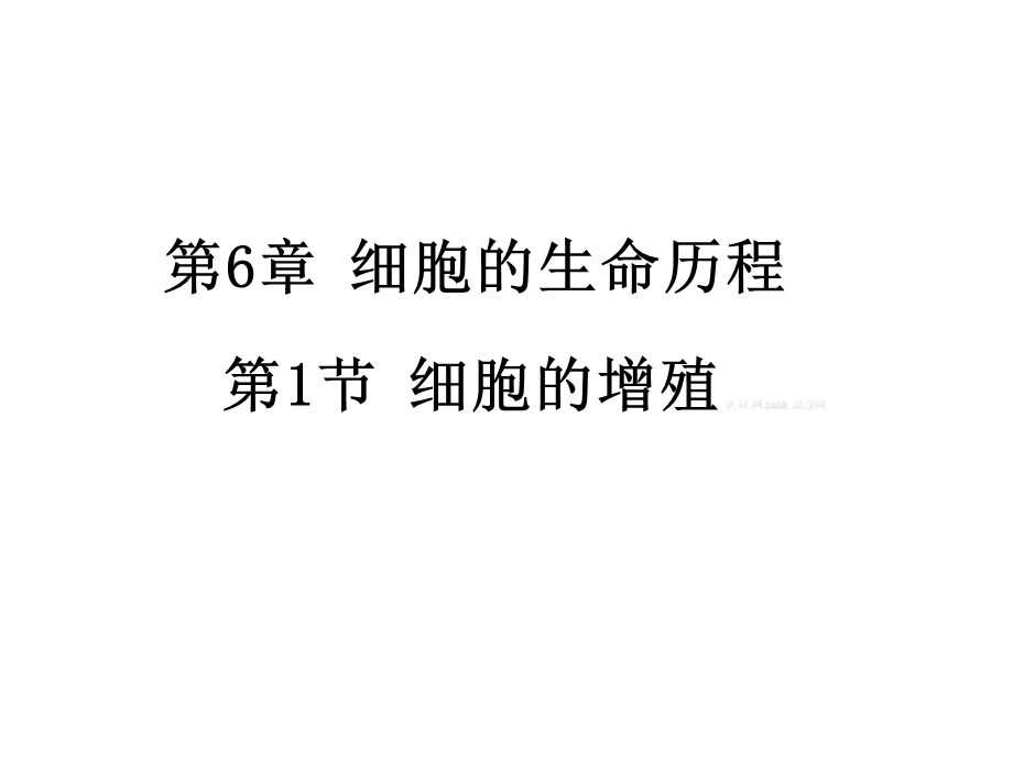 人教版教学课件河北省石家庄一中2012-2013学年高一生物《61细胞的增殖》课件(新人教版必修1).ppt_第1页