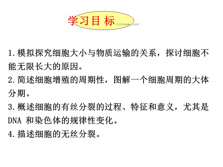 人教版教学课件河北省石家庄一中2012-2013学年高一生物《61细胞的增殖》课件(新人教版必修1).ppt_第2页