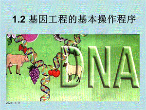 人教版教学课件江苏省怀仁中学高二生物12基因工程的基本操作程序.ppt