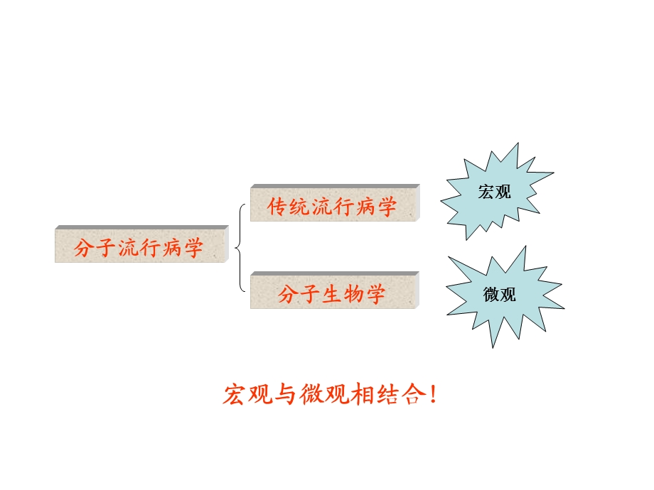 分子生物学基础l.ppt_第2页