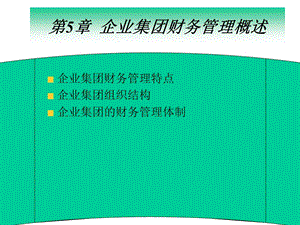 企业集团的财务管理.ppt