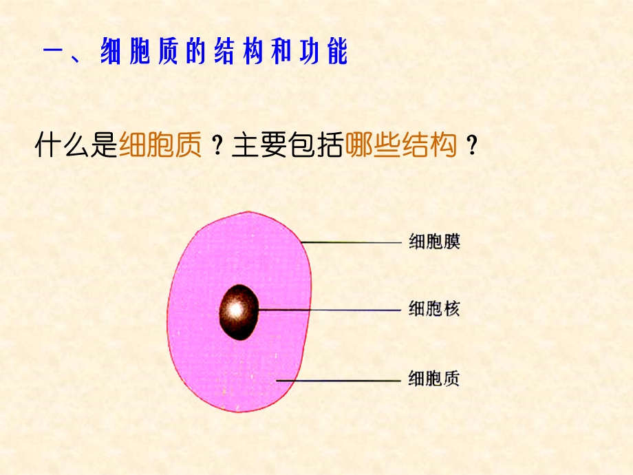 人教版教学课件细胞内的分工合作细胞器.ppt_第2页