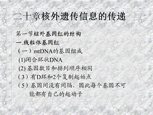 分子遗传学核外遗传.ppt