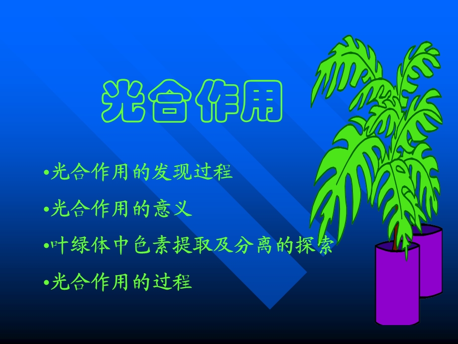 人教版教学课件云南省弥勒县庆来中学2011-2012学年高一生物光合作用的探究过程(课件).ppt_第2页