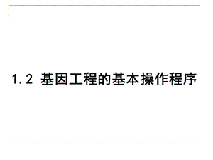 人教版教学课件人教版基因工程的基本操作程序.ppt