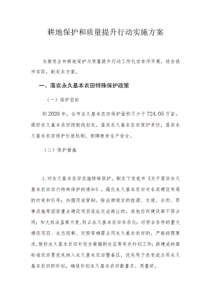 耕地保护和质量提升行动实施方案.docx