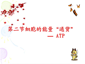 人教版高一生物必修一第五章第二节《细胞的能量“通货”-ATP》.ppt